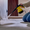 Zero In Ultra Power Household Pest Killer Steam Gun