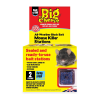 Big Cheese All-Weather Block Bait Mouse Killer Station